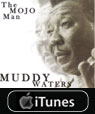muddy waters